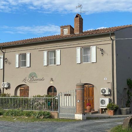 Agriturismo Le Biricoccole Vada Exterior foto