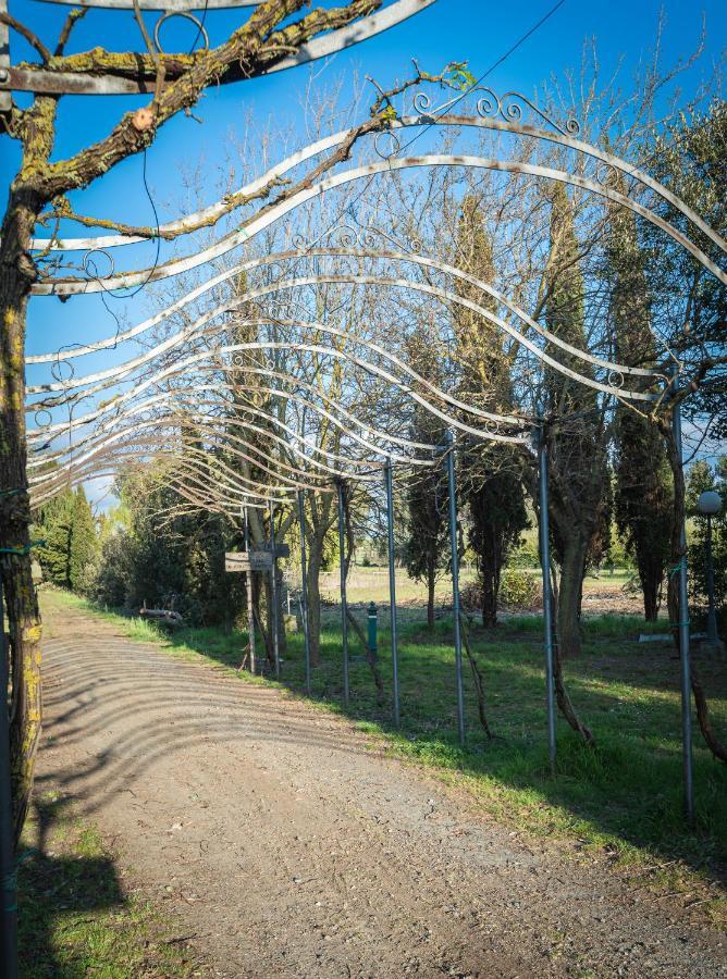 Agriturismo Le Biricoccole Vada Exterior foto