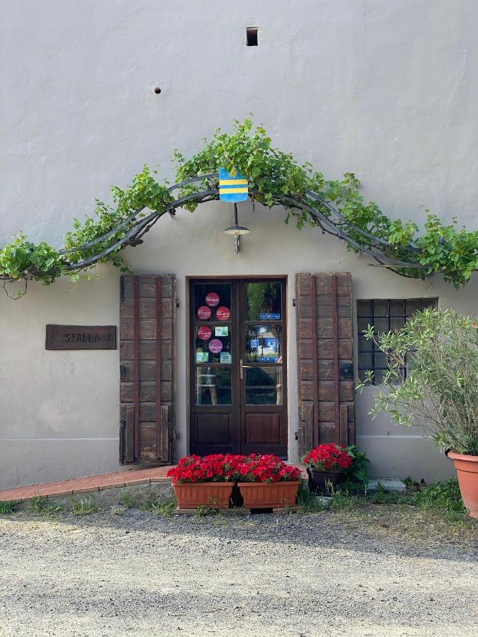 Agriturismo Le Biricoccole Vada Exterior foto