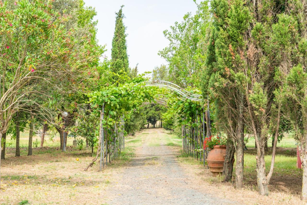 Agriturismo Le Biricoccole Vada Exterior foto